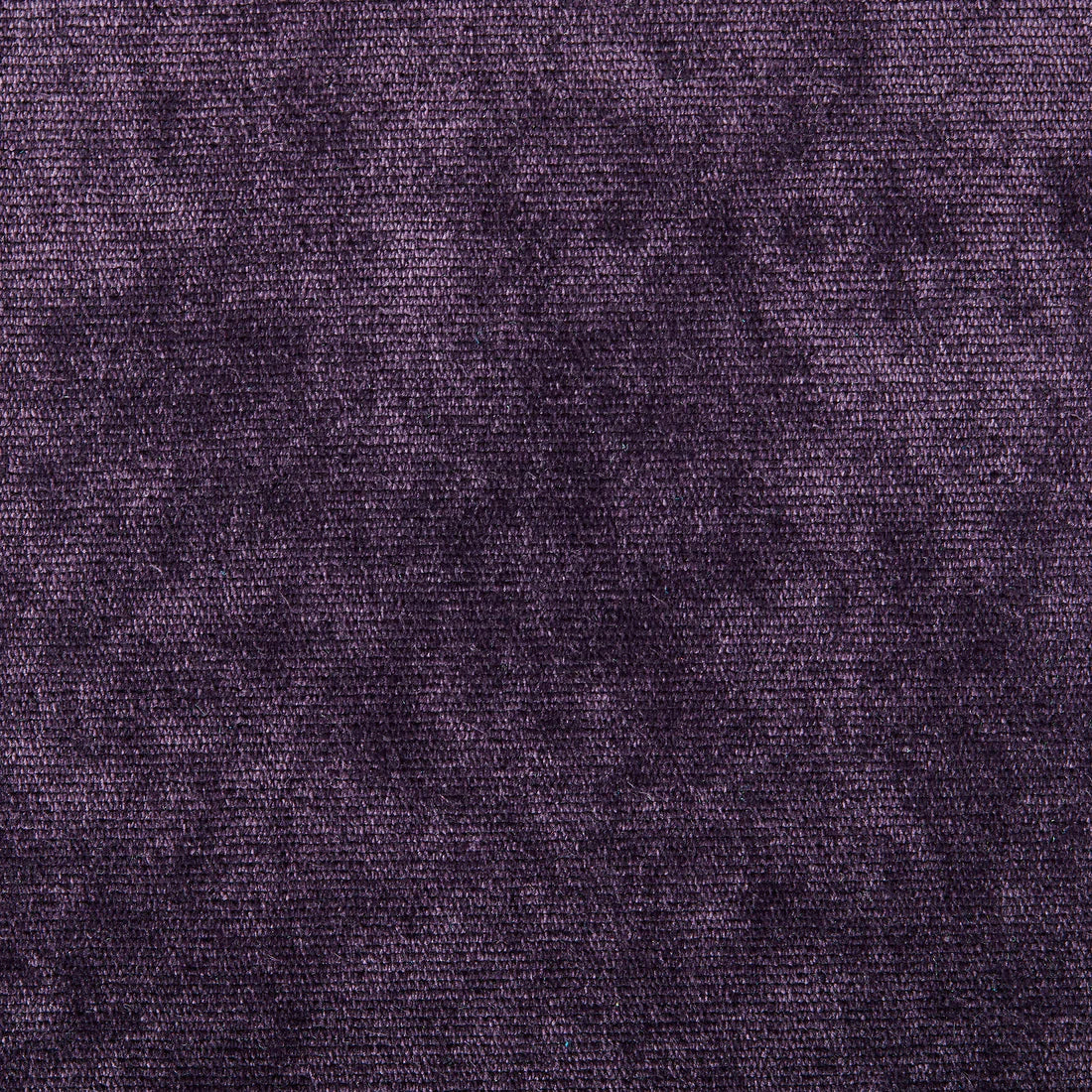 Naples Purple