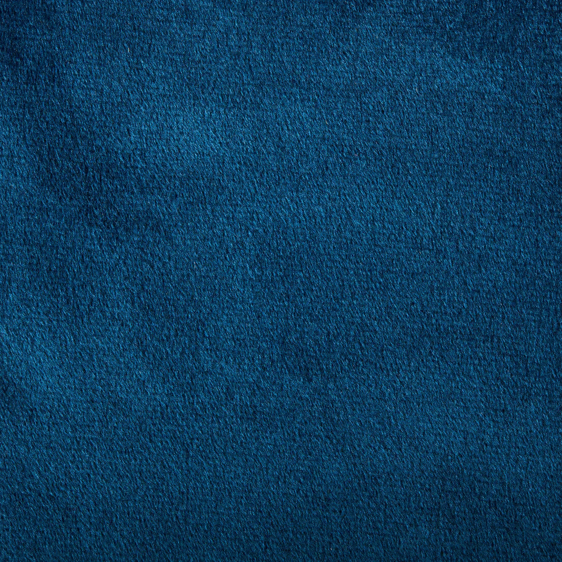 Velvet Blue